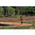 Team 102 / Raid Amazones Sri Lanka 2018 - J5 Bike and Run