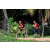 Team 123 / Raid Amazones Sri Lanka 2018 - J5 Bike and Run