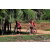 Team 04 / Raid Amazones Sri Lanka 2018 - J5 Bike and Run