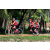 Team 114 / Raid Amazones Sri Lanka 2018 - J5 Bike and Run