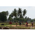 Raid Amazones Sri Lanka 2018 - J5 Bike and Run