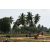 Raid Amazones Sri Lanka 2018 - J5 Bike and Run