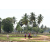 Raid Amazones Sri Lanka 2018 - J5 Bike and Run