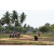 Raid Amazones Sri Lanka 2018 - J5 Bike and Run