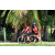 Team 68 / Raid Amazones Sri Lanka 2018 - J5 Bike and Run
