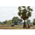Raid Amazones Sri Lanka 2018 - J5 Bike and Run