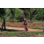 Team 74 / Raid Amazones Sri Lanka 2018 - J5 Bike and Run