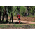 Team 74 / Raid Amazones Sri Lanka 2018 - J5 Bike and Run