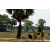 Team 74 / Raid Amazones Sri Lanka 2018 - J5 Bike and Run