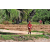 Team 16 / Raid Amazones Sri Lanka 2018 - J5 Bike and Run