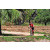 Team 16 / Raid Amazones Sri Lanka 2018 - J5 Bike and Run