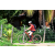 Team 119 / Raid Amazones Sri Lanka 2018 - J5 Bike and Run