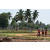 Raid Amazones Sri Lanka 2018 - J5 Bike and Run