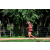 Team 126 / Raid Amazones Sri Lanka 2018 - J5 Bike and Run