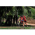 Team 01 / Raid Amazones Sri Lanka 2018 - J5 Bike and Run