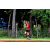 Team 53 / Raid Amazones Sri Lanka 2018 - J5 Bike and Run