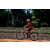 Team 53 / Raid Amazones Sri Lanka 2018 - J5 Bike and Run