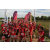 Team 106 / Raid Amazones Sri Lanka 2018 - J5 Bike and Run