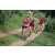 Team 50 / Raid Amazones Sri Lanka 2018 - J5 Bike and Run