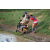 Team 106 / Raid Amazones Sri Lanka 2018 - J5 Bike and Run