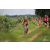 Team 150 / Raid Amazones Sri Lanka 2018 - J5 Bike and Run