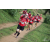 Team 150 / Raid Amazones Sri Lanka 2018 - J5 Bike and Run
