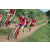 Team 07 / Raid Amazones Sri Lanka 2018 - J5 Bike and Run