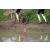 Team 08 / Raid Amazones Sri Lanka 2018 - J5 Bike and Run