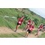 Team 18 / Raid Amazones Sri Lanka 2018 - J5 Bike and Run