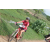 Team 18 / Raid Amazones Sri Lanka 2018 - J5 Bike and Run