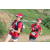 Team 110 / Raid Amazones Sri Lanka 2018 - J5 Bike and Run