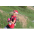 Team 110 / Raid Amazones Sri Lanka 2018 - J5 Bike and Run