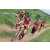 Team 141 / Raid Amazones Sri Lanka 2018 - J5 Bike and Run