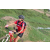 Team 36 / Raid Amazones Sri Lanka 2018 - J5 Bike and Run