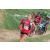 Team 55 / Raid Amazones Sri Lanka 2018 - J5 Bike and Run