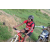 Team 55 / Raid Amazones Sri Lanka 2018 - J5 Bike and Run
