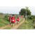 Team 139 / Raid Amazones Sri Lanka 2018 - J5 Bike and Run