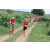 Team 05 / Raid Amazones Sri Lanka 2018 - J5 Bike and Run
