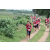 Team 108 / Raid Amazones Sri Lanka 2018 - J5 Bike and Run
