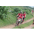 Team 119 / Raid Amazones Sri Lanka 2018 - J5 Bike and Run