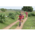 Team 27 / Raid Amazones Sri Lanka 2018 - J5 Bike and Run