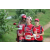 Team 126 / Raid Amazones Sri Lanka 2018 - J5 Bike and Run