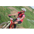 Team 53 / Raid Amazones Sri Lanka 2018 - J5 Bike and Run