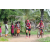 Team 04 / Raid Amazones Sri Lanka 2018 - J5 Bike and Run