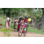 Team 57 / Raid Amazones Sri Lanka 2018 - J5 Bike and Run