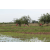 Raid Amazones Sri Lanka 2018 - J5 Bike and Run