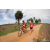 Team 49 / Raid Amazones Sri Lanka 2018 - J5 Bike and Run