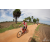 Team 33 / Raid Amazones Sri Lanka 2018 - J5 Bike and Run