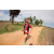 Team 109 / Raid Amazones Sri Lanka 2018 - J5 Bike and Run