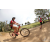 Team 33 / Raid Amazones Sri Lanka 2018 - J5 Bike and Run
